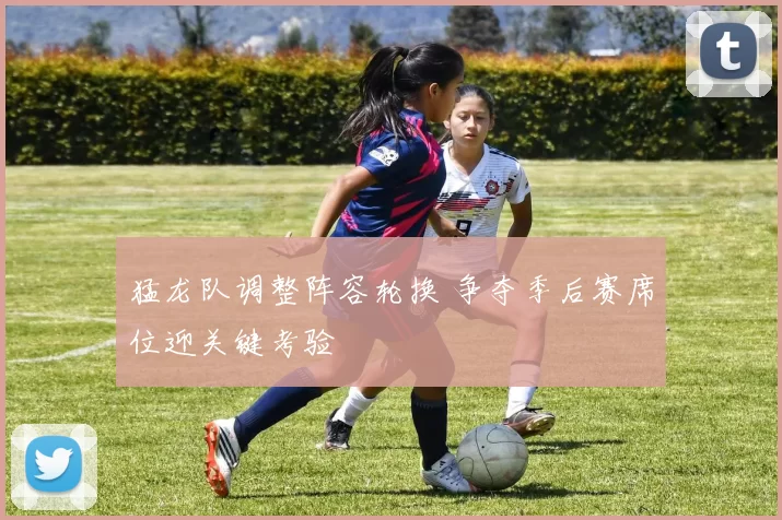 猛龙队调整阵容轮换 争夺季后赛席位迎关键考验