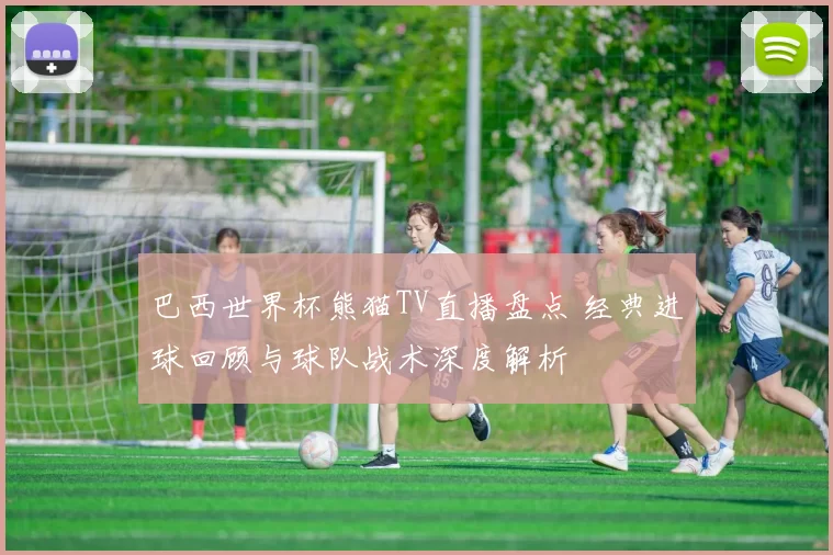巴西世界杯熊猫TV直播盘点 经典进球回顾与球队战术深度解析